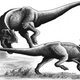 Illustration for article titled Finally: Actual physical evidence that T-rex was a predator